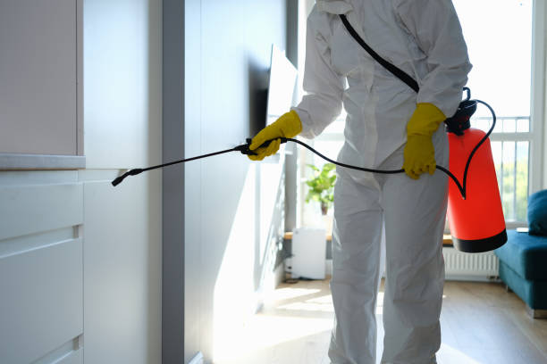Best Mold Testing  in Osage, IA