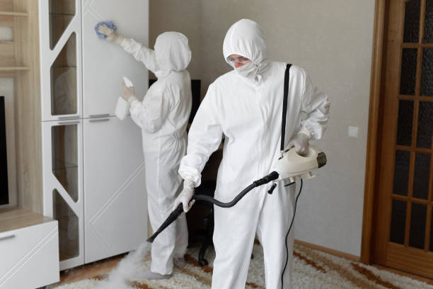 Crawl Space Mold Removal in Osage, IA
