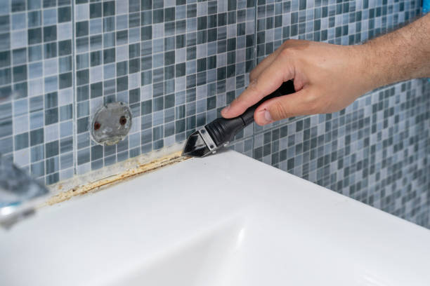 Best Home Mold Removal  in Osage, IA